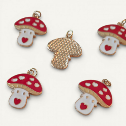 IMG_20260207_015144 (7).jpg